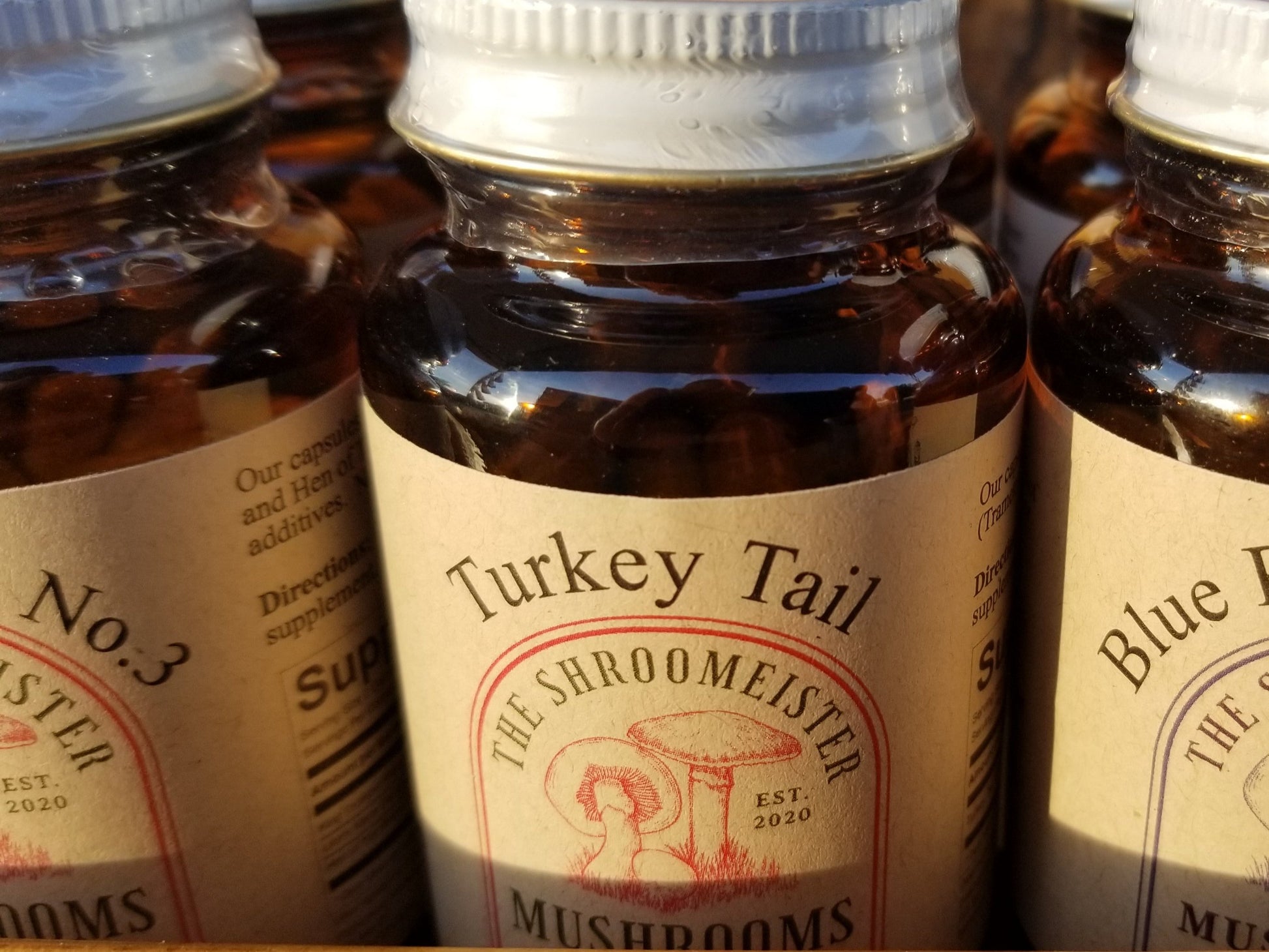 Close up view of A glass bottle labeled 'Turkey Tail Mushrooms' with a white cap, containing 50 vegetarian capsules.