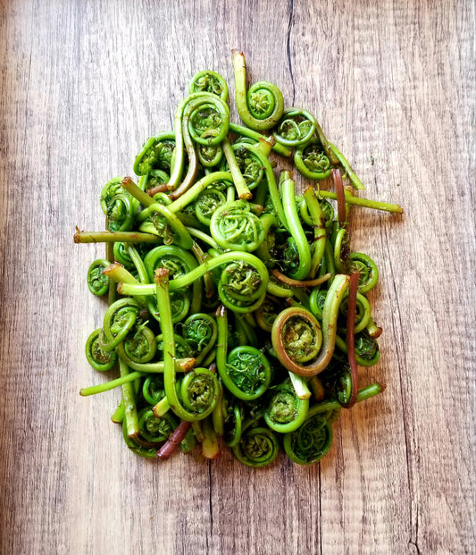 A large fresh pile of locally sourced fiddlehead ferns with tightly coiled croziers on a wooden surface
