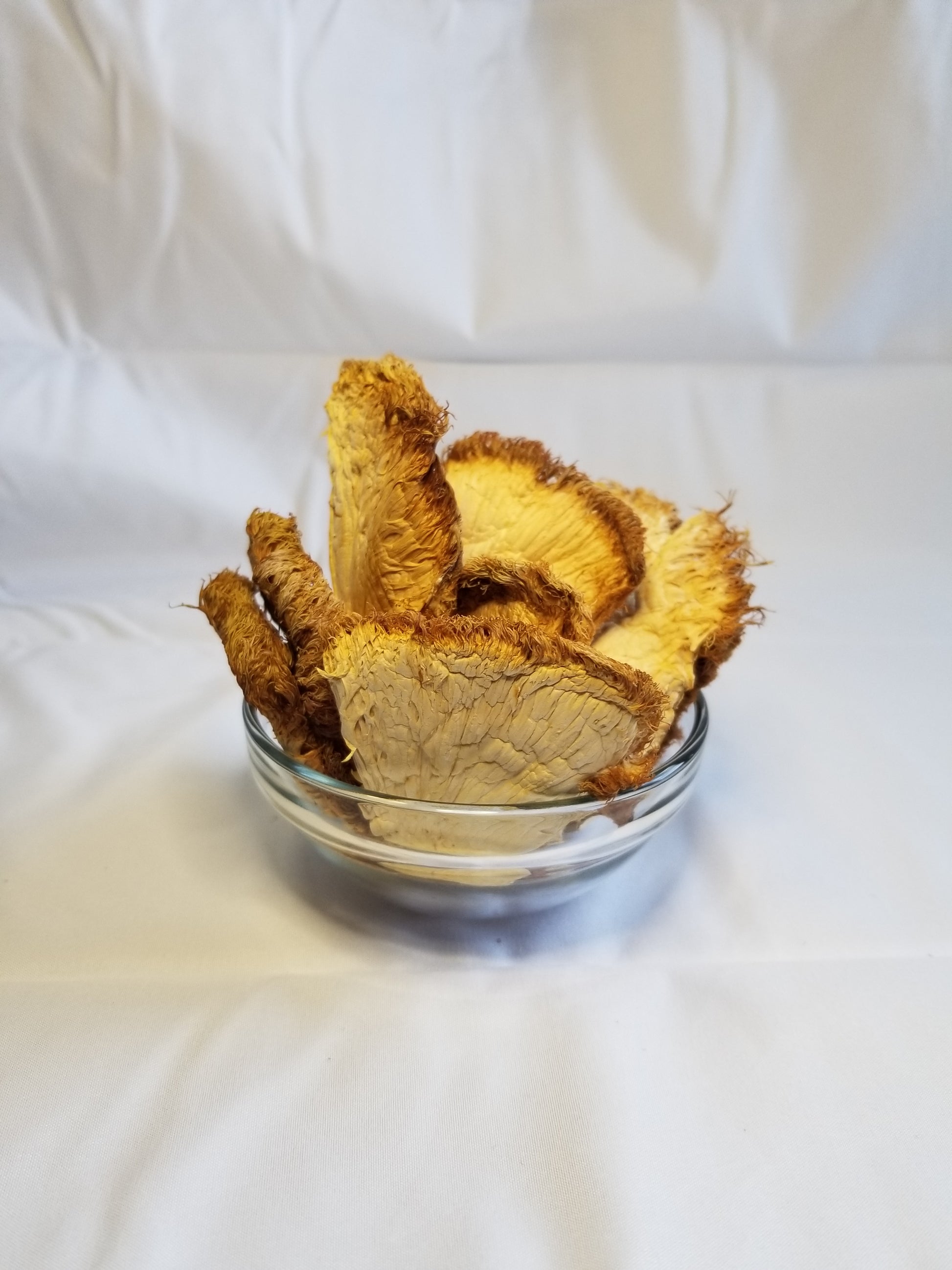 A bowl of dried Lion's Mane mushrooms against a white background.